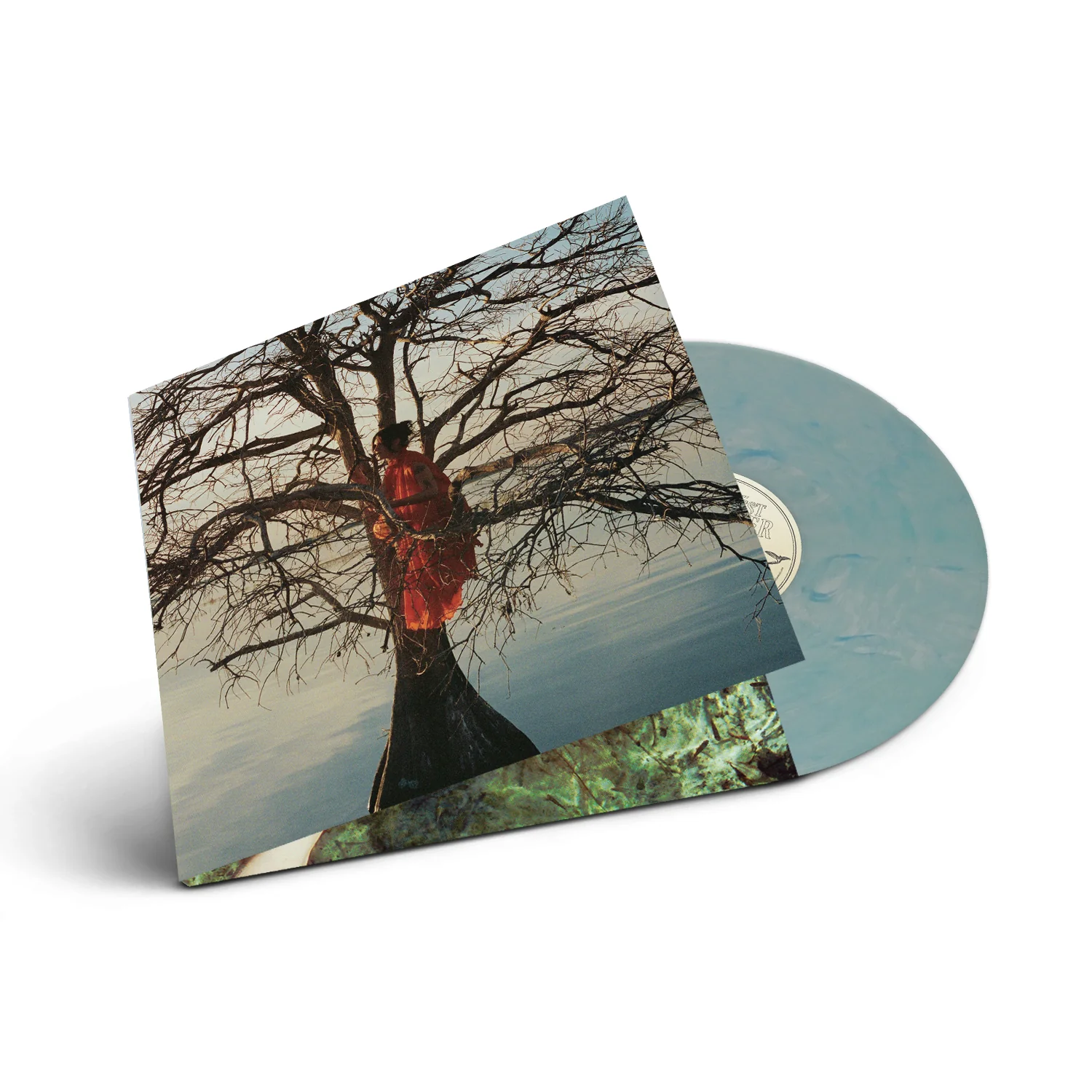 The Eldest Daughter (Signed Lagoon Vinyl & Tee) - Image 4